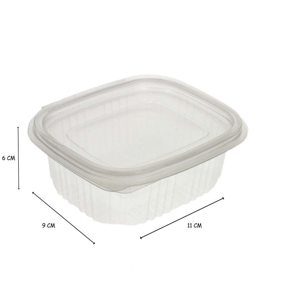 Take Away Box PP 500ml