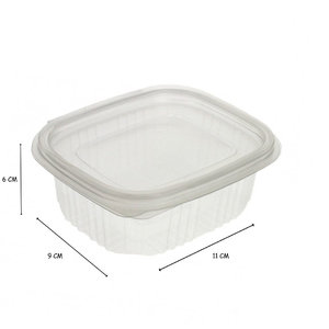 Take Away Box PP 500ml