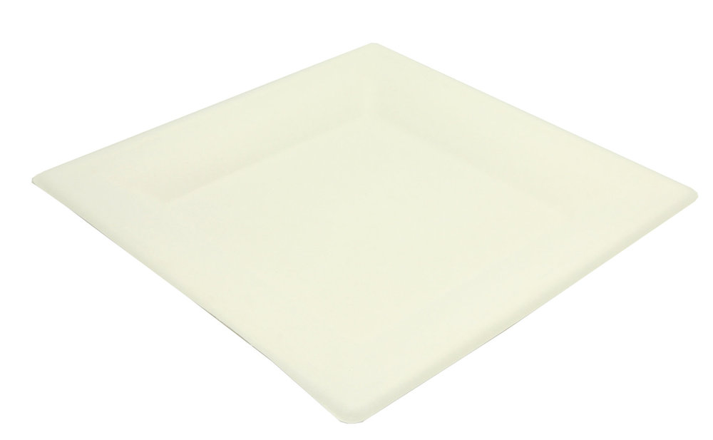 Plate square BIO 24x24cm - Pack 50 Units